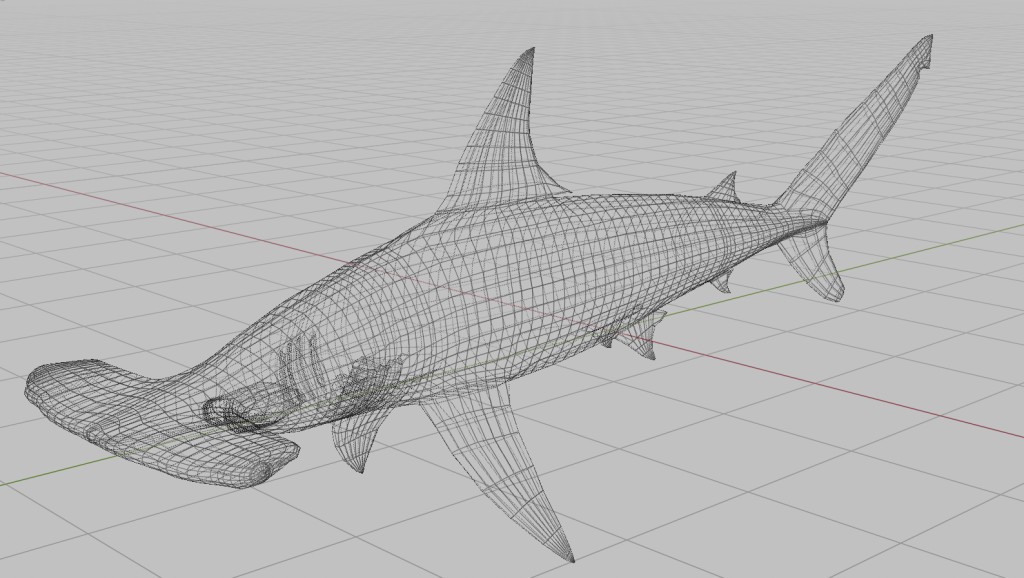 Hammerhead Shark preview image 6